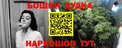 PSILOCYBIN Первоуральск