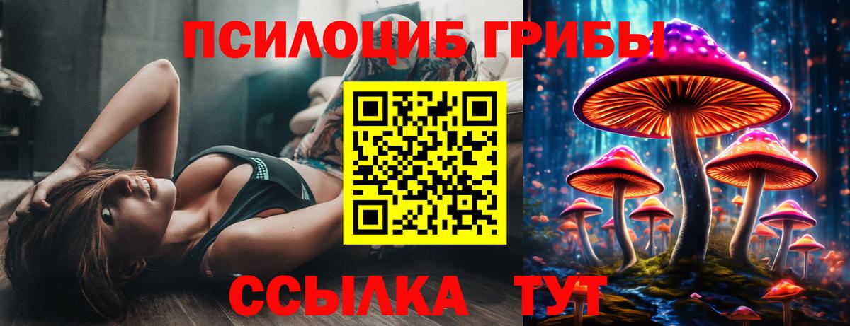 Псилоцибиновые грибы прущие грибы  Вход с VPN  Серпухов 